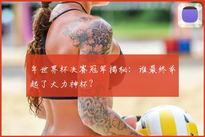 年世界杯决赛冠军揭秘:谁最终举起了大力神杯?