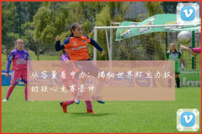 从容量看申办:揭秘世界杯主办权的核心竞赛条件