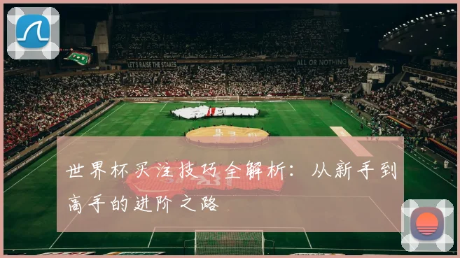 世界杯买注技巧全解析:从新手到高手的进阶之路