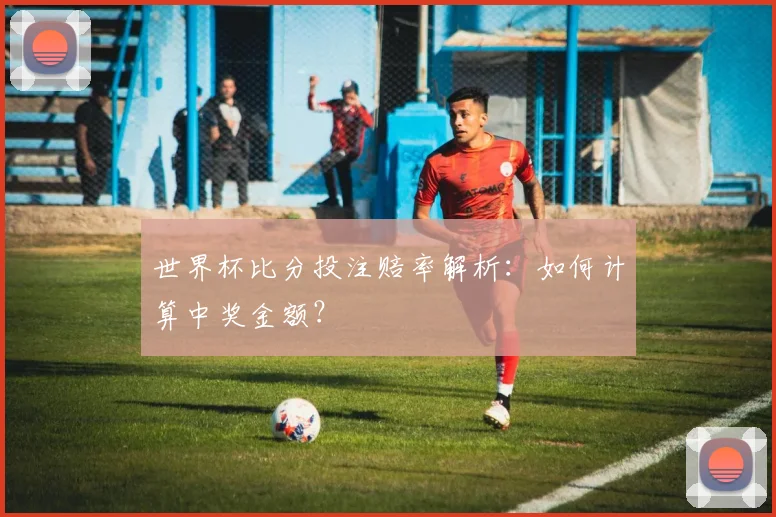 世界杯比分投注赔率解析：如何计算中奖金额？