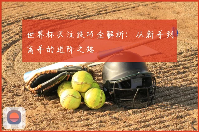 世界杯买注技巧全解析:从新手到高手的进阶之路