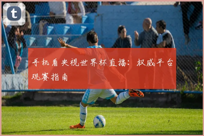 手机看央视世界杯直播：权威平台观赛指南