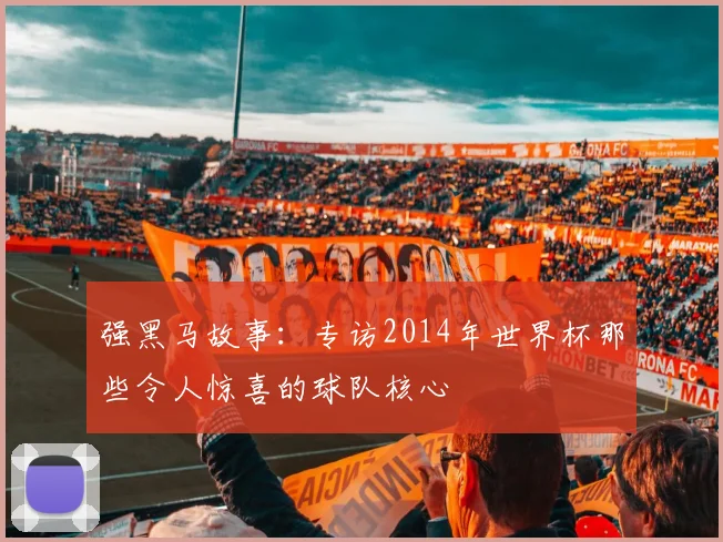 强黑马故事:专访2014年世界杯那些令人惊喜的球队核心