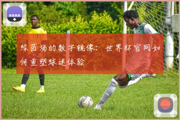 绿茵场的数字镜像:世界杯官网如何重塑球迷体验