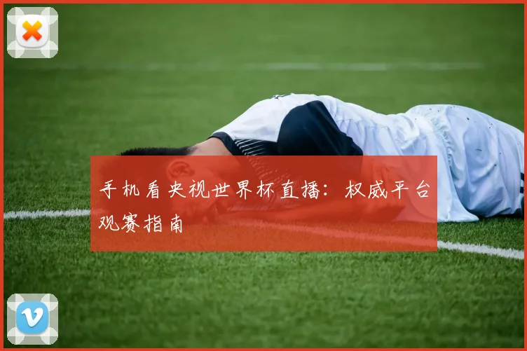 手机看央视世界杯直播：权威平台观赛指南