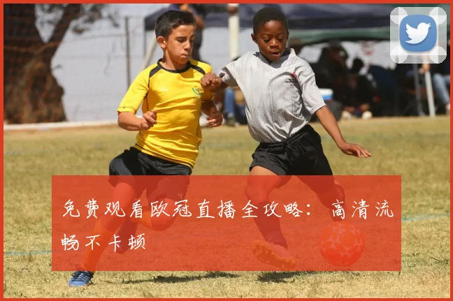 免费观看欧冠直播全攻略：高清流畅不卡顿